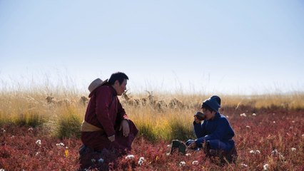 Les racines du monde