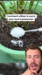 Je vous laisse tester !