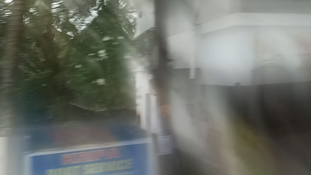 rain