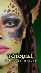 Comment créer des oreilles 3D pour Laezel dans Baldur's Gate 🎨