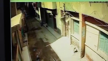 لحظة مصرع عامل إنارة صعقا بالكهرباء أثناء عمله بالزقازيق ومحافظ الشرقية ينعاه