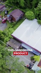 Interviewed: Datuk Dr. Lim Siow Jin | Part 15