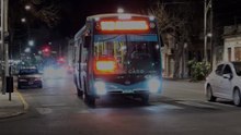 Busografo Rosario: Nuovobus Cittá Urbano 2025