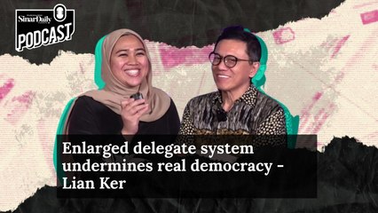 Enlarged delegate system undermines real democracy - Ti Lian Ker