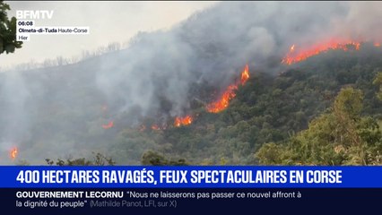 400 hectares de végétation ravagés dans deux incendies en Corse