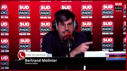 "Notre filière est à l'arrêt !" : La dermatose nodulaire contagieuse inquiète les éleveurs