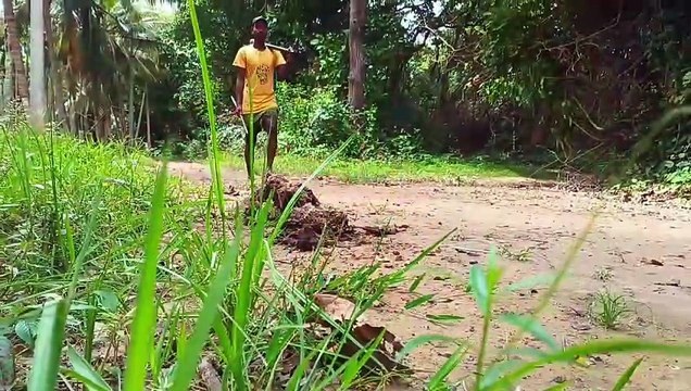 Trying Jungle Food for the First Time | my first vlog | food vlog | ASMR