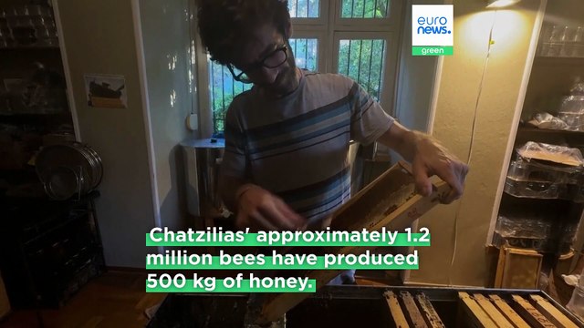 Athenians embrace urban beekeeping, hosting hives on rooftops to support local ecosystems