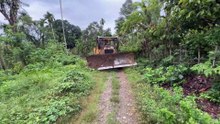 The D6R XL Bulldozer Makes Old Plantation Roads Functional Again