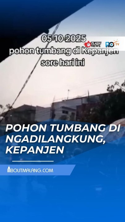 LALU LINTAS KEPANJEN TERGANGGU AKIBAT POHON TUMBANG