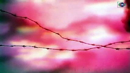 Jangloos..Episode 16..Classic PTV Famous Drama 🎭