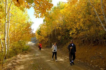 Canlı bir sanat eseri: Tüm şehir renk cümbüşüne döndü