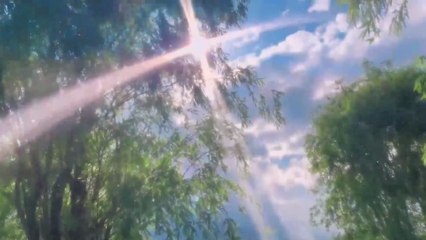 natural view video – Waterfall Splash in the Forest