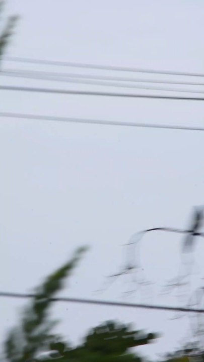 Hier j'avais du mal a m'endormir je me récitait carrément les Jingle de supermarché, et je me suis dit pourquoi me donner le défi de faire une pub pour mon projet @OrnithoFrance ! #naturaliste #passion #tiktokviral #pub #oiseaux
