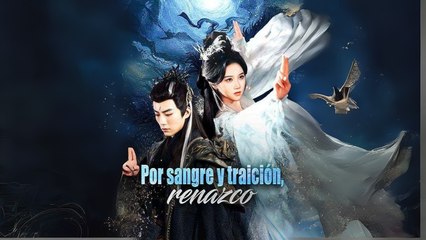 Por Sangre Y TraicióN, Renazco Completo