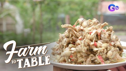 First-timers try Chef JR Royol’s ‘Adobong Palaka sa Dilaw!’ | Farm to Table