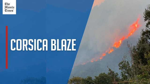 Wildfires rage in Corsica destroying nearly 400 hectares