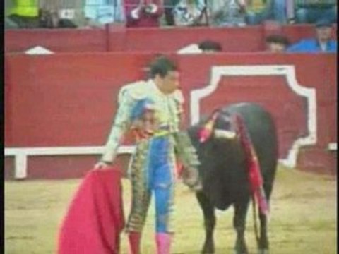 Novillada en Aranjuez (27/04/08)