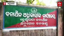 ଅନୁଗୋଳ ବନଖଣ୍ଡରେ ମହାବଳ ଆତଙ୍କ, ପାଦଚିହ୍ନ ଦେଖି ଭୟଭୀତ ଲୋକେ