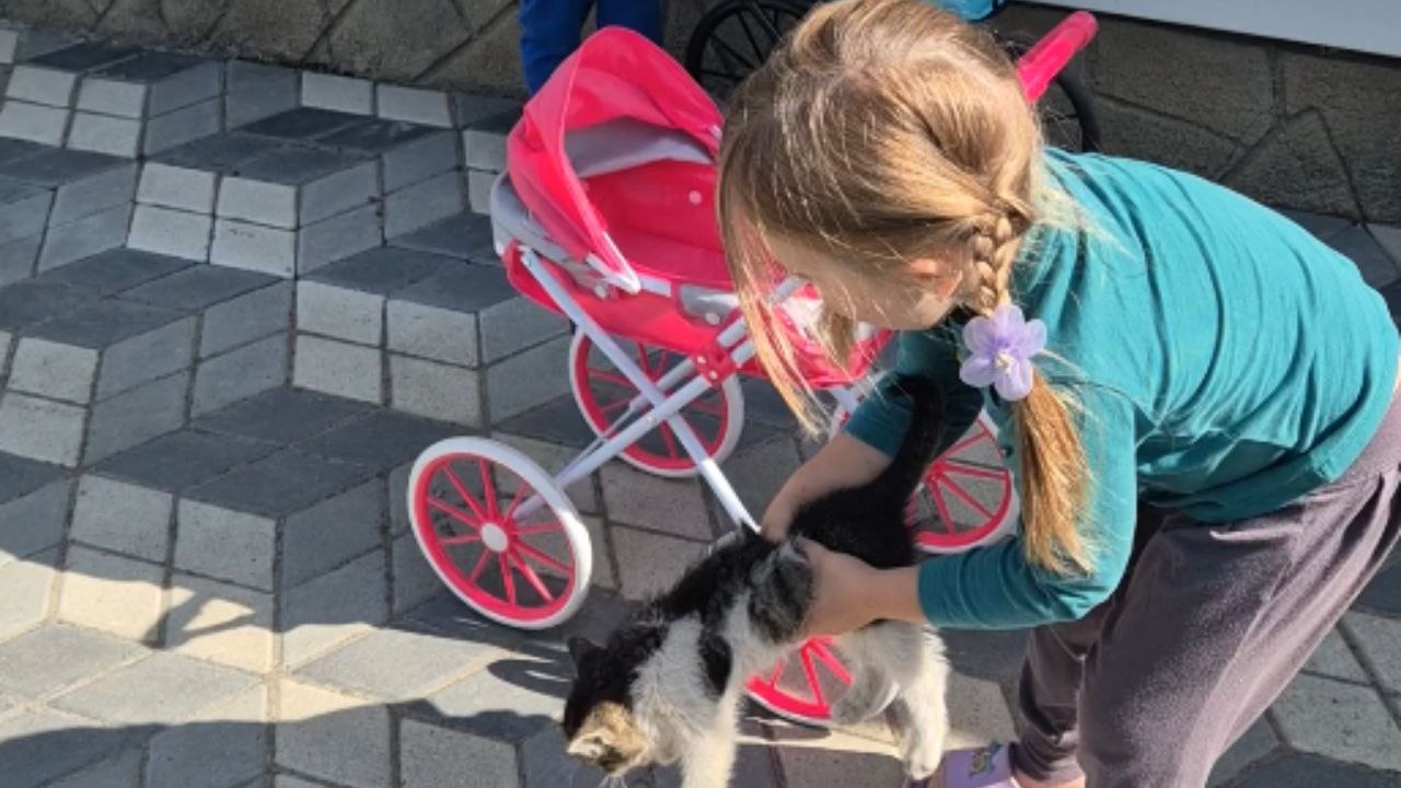 Adorable kids befriend abandoned kittens at the grandparents’ house in the village
