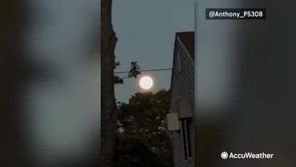 Super Harvest Moon rises on Monday night