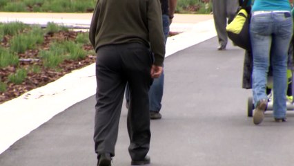 El IX Congreso FEDE aborda la conexión cardiovascular-renal-metabólica con la diabetes tipo 2