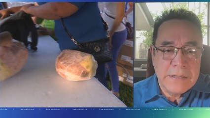 Porcinocultores pedirán al presidente Mulino frenar importación de jamones del IMA