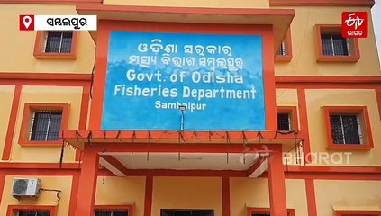 ରାଜ୍ୟରେ ମତ୍ସ୍ଯ ଉତ୍ପାଦନ ହେବ ଦ୍ବିଗୁଣିତ, ସମ୍ବଲପୁରରେ ନିର୍ମାଣ ହେବ ଆକ୍ଵା ପାର୍କ