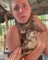 Sloth Hugs Woman