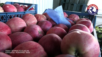 “Diyarbakır’da kaçak meyve sebze esnafı bitiriyor”