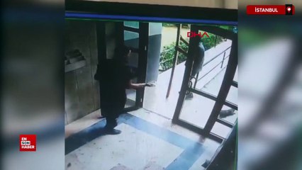 Başakşehir'de kediye işkence davasında karar çıktı