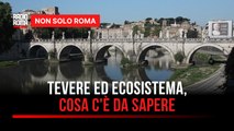 Navigabilità del Tevere ed ecosistema, cosa c'è da sapere? Parola al prof. Piovesan