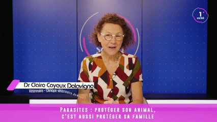 Parasites : protéger son animal, c’est protéger sa famille — Dr Claire Cayeux Delavigne