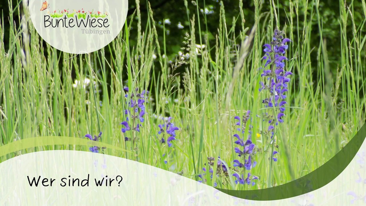 Film der Bunten Wiese Initiative - Tübingen