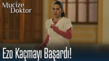 Ezo kaçmayı başardı! - Mucize Doktor 50. Bölüm