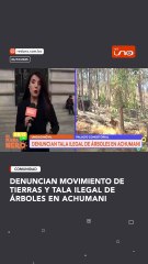 DENUNCIAN MOVIMIENTO DE TIERRAS Y TALA ILEGAL DE ÁRBOLES EN ACHUMANI