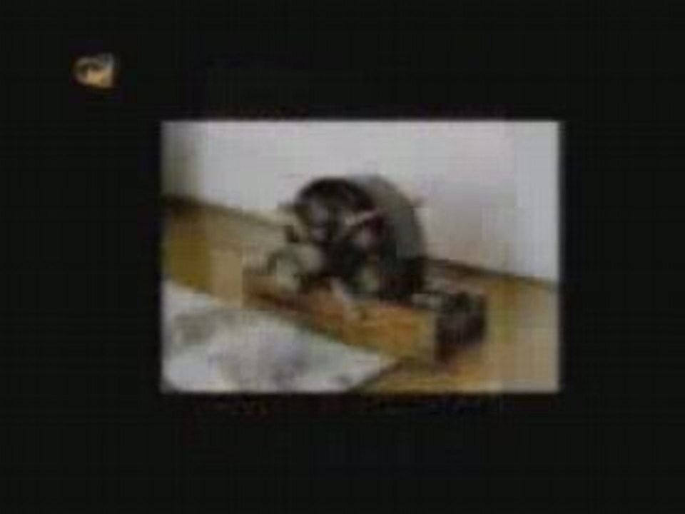 Ojo_de_Horus_capitulo_6_5