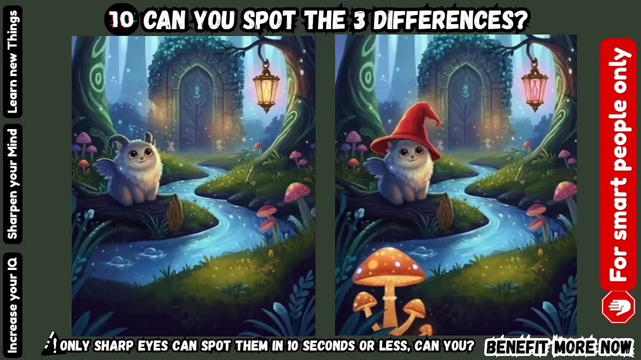 Can You spot the 3 Differences? 🔍