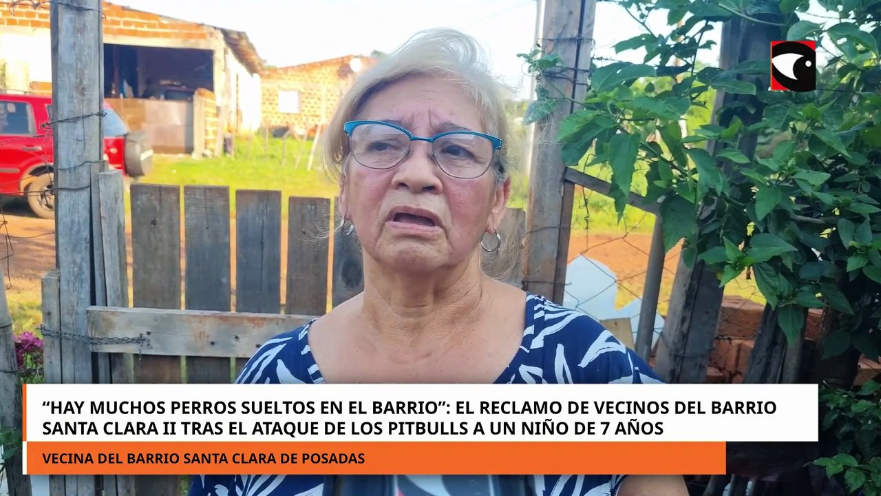 “Hay muchos perros sueltos en el barrio”_ el reclamo de vecinos del barrio Santa Clara II tras el ataque de los pitbulls a un niño de 7 años (1)