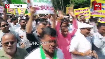 सोयाबीन किसानों के मुआवजे के लिए कांग्रेस की हुंकार, कंपशेसन को बताया ऊंट के मुंह में जीरा