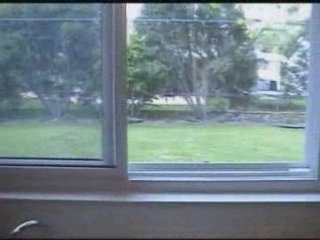 For Sale:  34251 Six Mile, Livonia, MI | Beautiful ...