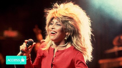 El hijo de Tina Turner, Ike Jr., fue arrestado por presunta posesión de drogas días antes de su muerte