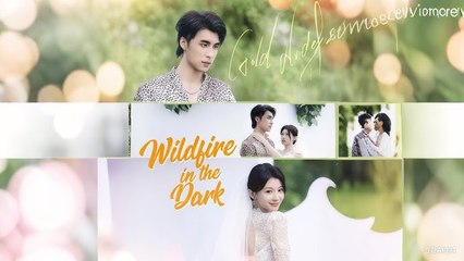 Wildfire In The Dark