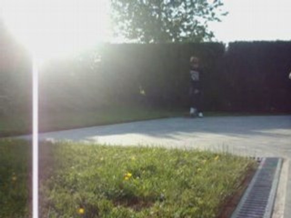skate moii