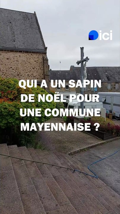 "Un arbre d'une dizaine de mètres" : Oisseau recherche son sapin de Noël