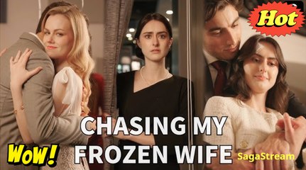 Chasing My Frozen Wife