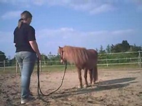 Petits exercices d'étho