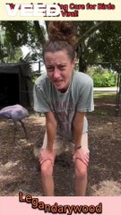 Women's touching care for birds goes viral | heartwarming moments #kindness #birdlover #feelgood #birdlovers