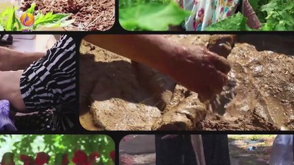 JIN TV | KANIYA DEBARÊ - HAVVA