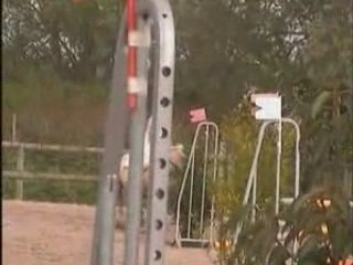 Shade & Paloma 4/05/08 CL3 CSO Torcy